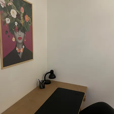 Sejour Confort 2 Personnes Ideal Couple Ou Pro Apartman Angers